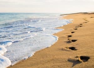 Close Up Of Footprints In The Sand At Sunset Service Desk Institute