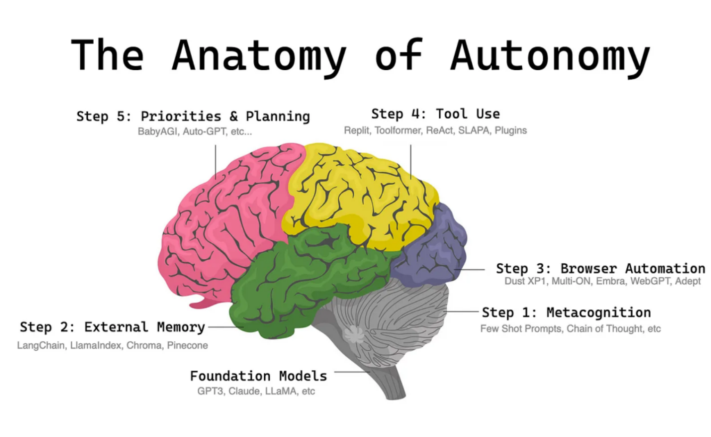 anatomy of autonomy