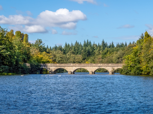 Surrey County Council