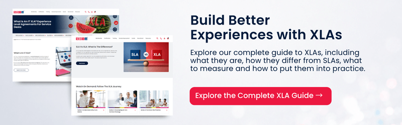 two website pages floating with XLA content and red button