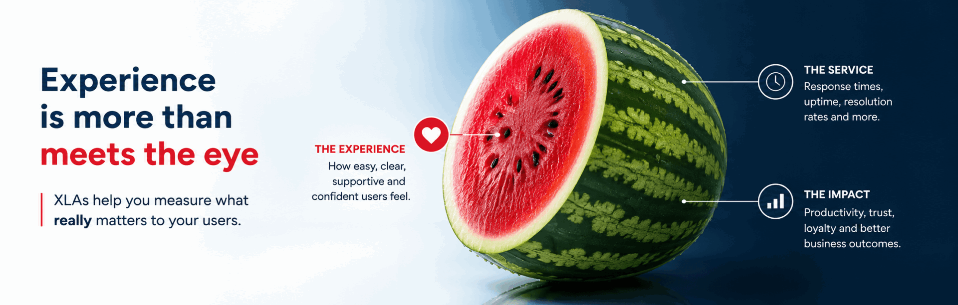 half of watermelon and text about XLAs around it