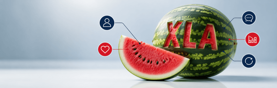 How to Write an XLA From Scratch